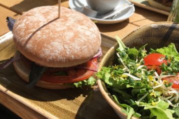 Team Gastro Vegan In Halle